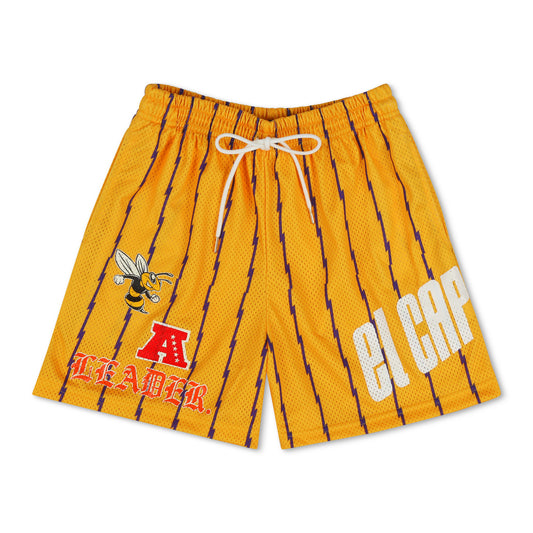 🐝 🅰️ 𝐋𝐄𝐀𝐃𝐄𝐑. [GRAPHIC SHORTS] - GOLD/PURLE PINSTRIPE