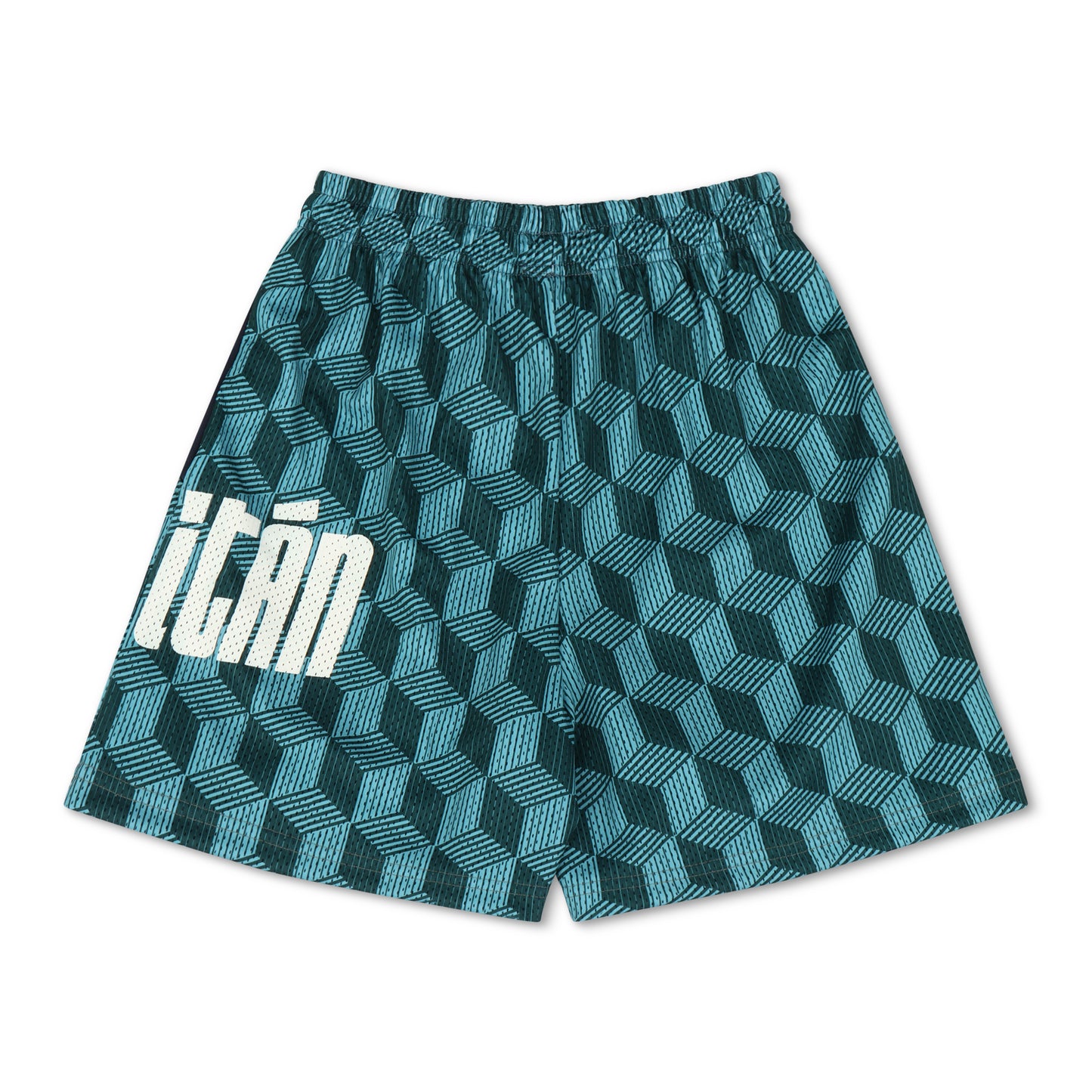 🐝 🅰️ 𝐋𝐄𝐀𝐃𝐄𝐑. [GRAPHIC SHORTS] - AQUA PRIZM