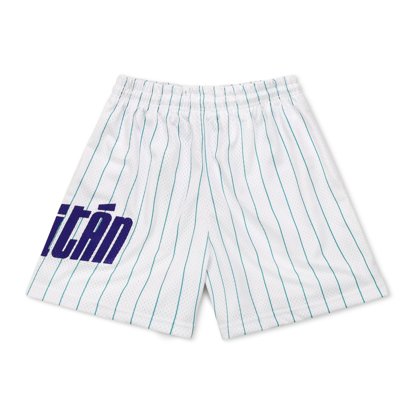 🐝 🅰️ 𝐋𝐄𝐀𝐃𝐄𝐑. [GRAPHIC SHORTS] - WHITE/TEAL PINSTRIPE